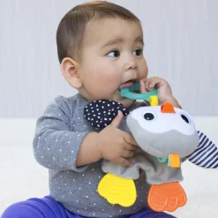 Dentaruolo pinguino
