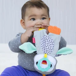 Dentaruolo pinguino