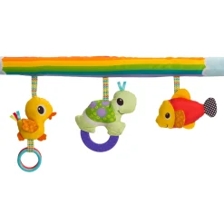 Palestrina – activity gym – gioco e crescita