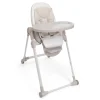 Seggiolone polly armonia motherpearl – chicco
